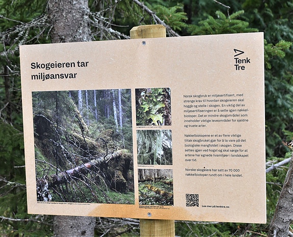 Bilde 3 av 8 i jobbannonse-galleriet