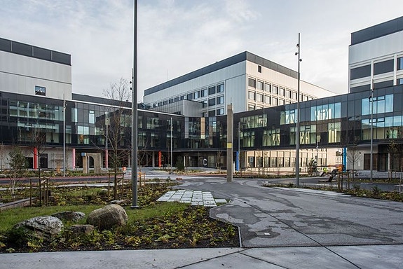 Bilde 7 av 8 i jobbannonse-galleriet