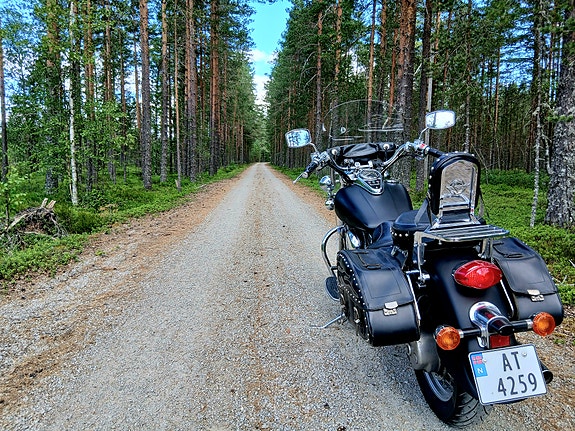 Kawasaki VN 1500 Classic 18 of 21