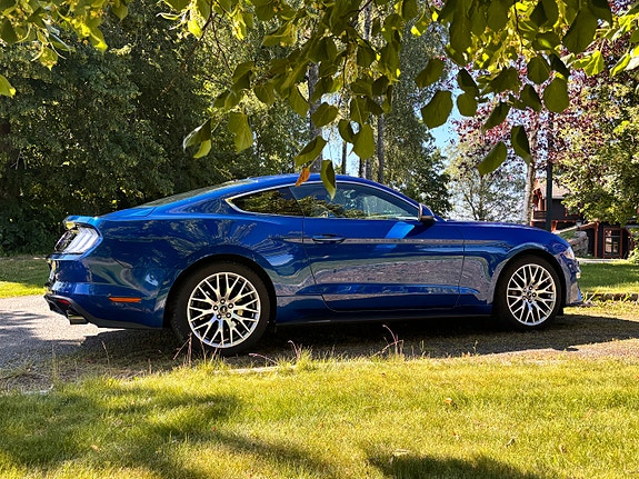 Ford Mustang 8 of 23