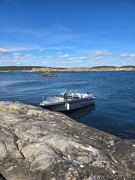 Buster X fra 2019 (120 timer) ny Q-skjerm (4G) og trimplan. Tilhenger medfølger. 21 of 21