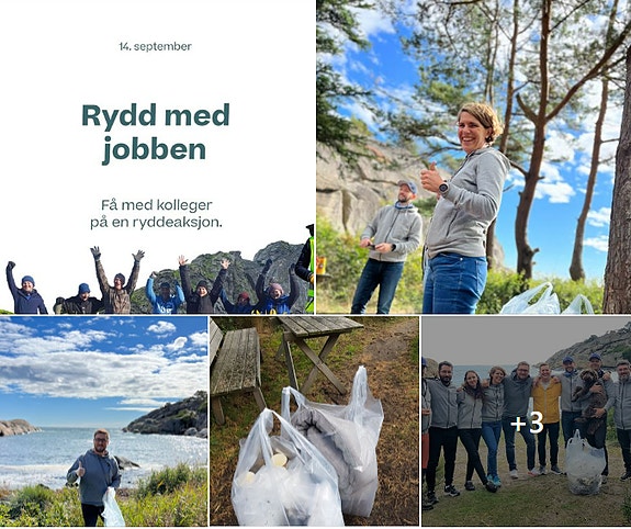 Bilde 4 av 9 i jobbannonse-galleriet
