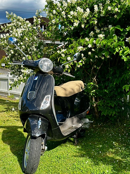 Vespa LX 50 3 of 5