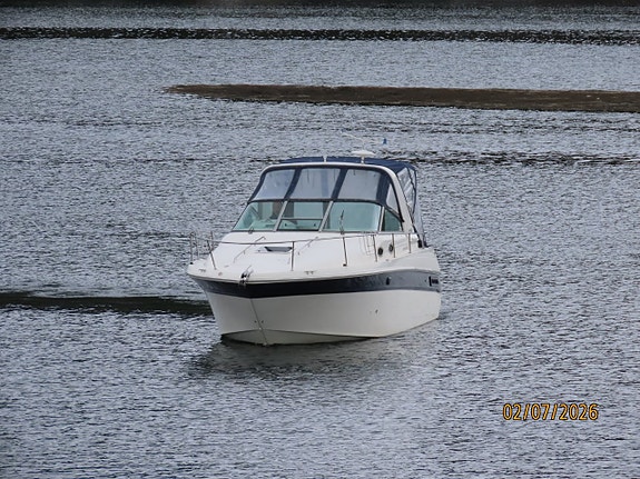 Sea Ray 290 Sundancer - Cummins/Mercruiser 4,2 l fra 2005 3 of 30
