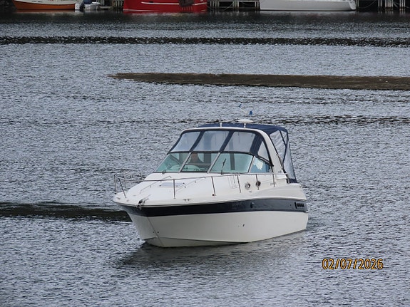 Sea Ray 290 Sundancer - Cummins/Mercruiser 4,2 l fra 2005 4 of 30