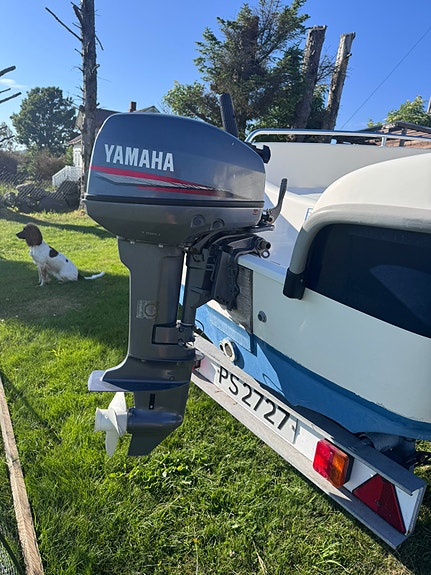 Yamarin 4210 – 2002-modell 2 of 9