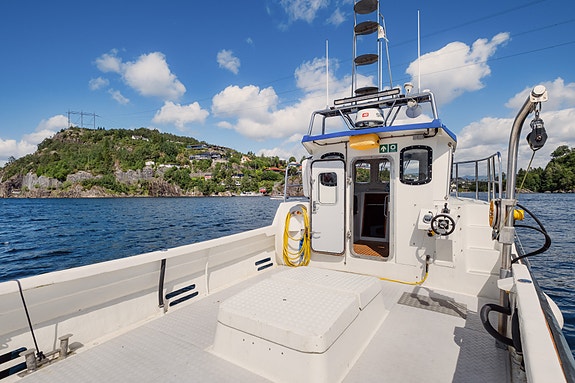 Viksund 35 -Total oppgradert 2020, Sea Keeper, 12 Pax, mva refusjon, skipsreg+++ 12 of 30