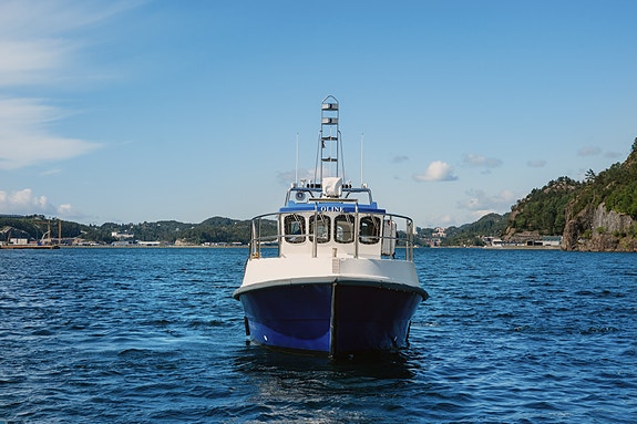 Viksund 35 -Total oppgradert 2020, Sea Keeper, 12 Pax, mva refusjon, skipsreg+++ 8 of 30