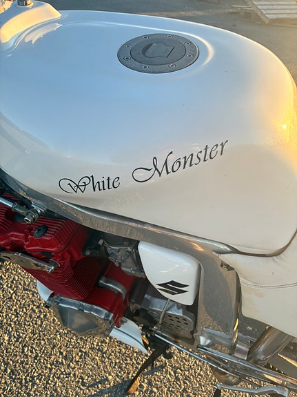 Suzuki GSX-R 1100 25 of 30