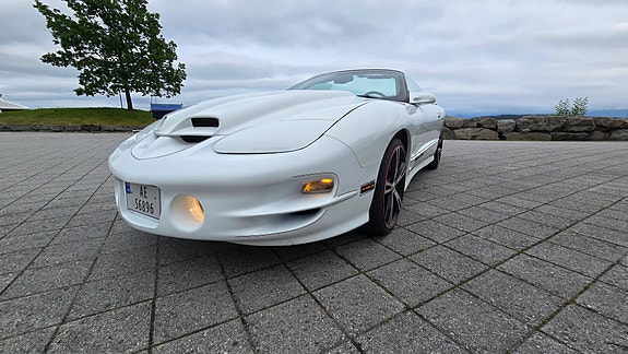 Pontiac Trans Am 5 of 5
