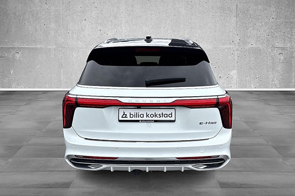 Hongqi E-HS9 5 of 5