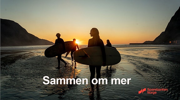 Bilde 1 av 1 i jobbannonse-galleriet