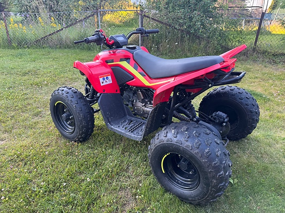 CFMOTO CFORCE 110 EFI 2 of 5