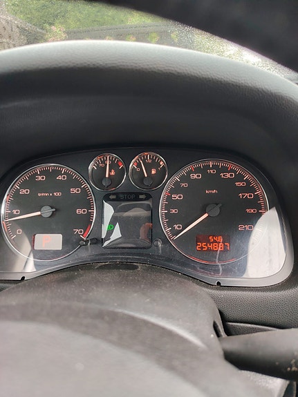 Peugeot 307 28 of 30