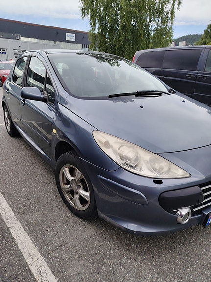 Peugeot 307 22 of 30