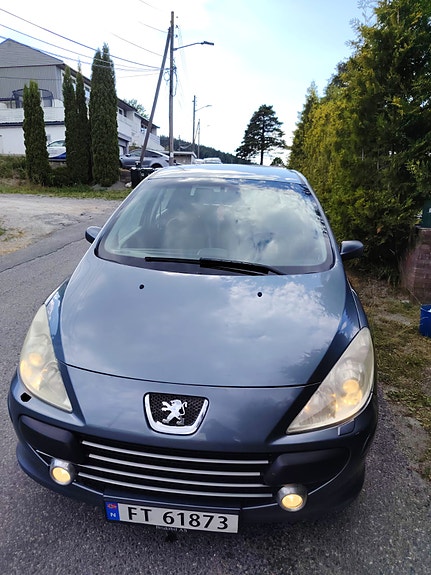 Peugeot 307 18 of 30