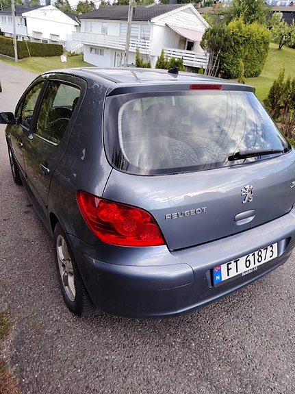Peugeot 307 19 of 30