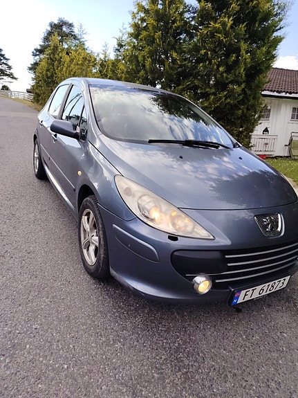 Peugeot 307 15 of 30