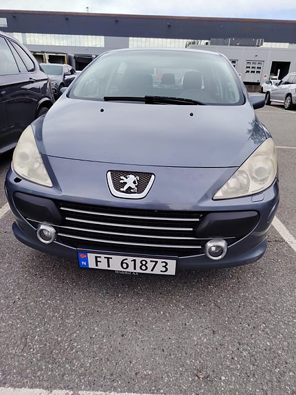 Peugeot 307 29 of 30