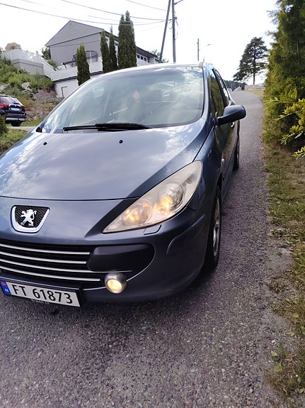 Peugeot 307 13 of 30