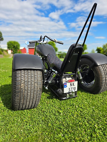 Harley-Davidson Trike 8 of 13