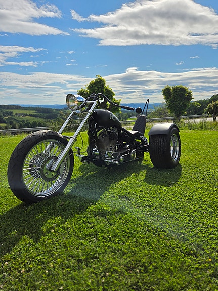 Harley-Davidson Trike 2 of 13