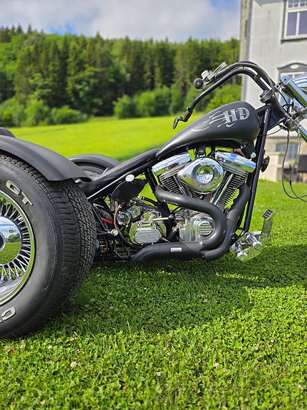 Harley-Davidson Trike 7 of 13