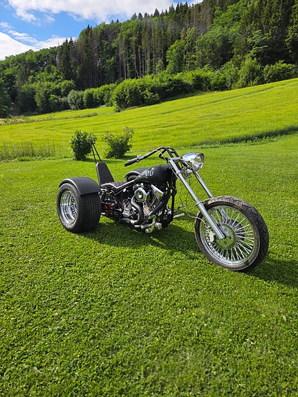 Harley-Davidson Trike 9 of 13