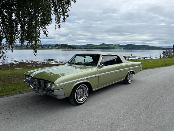 Buick Skylark 15 of 30
