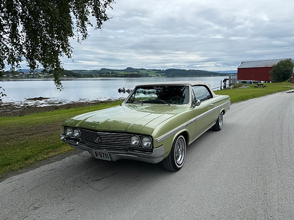 Buick Skylark 13 of 30