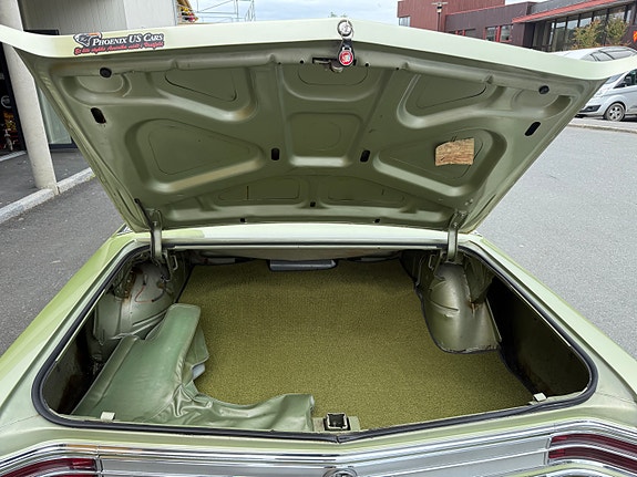 Buick Skylark 30 of 30