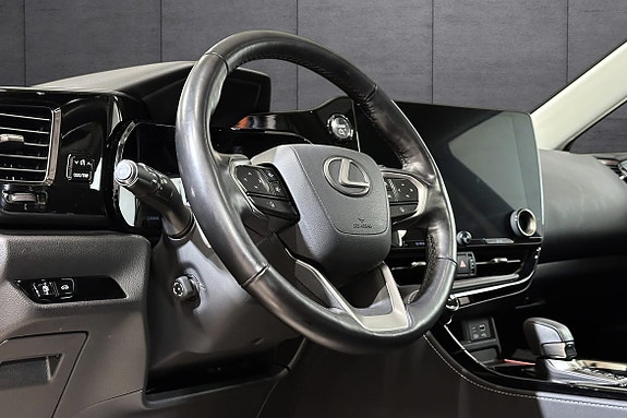 Lexus NX450h 13 of 22