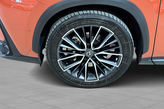 Lexus NX450h 6 of 22