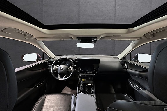 Lexus NX450h 14 of 22