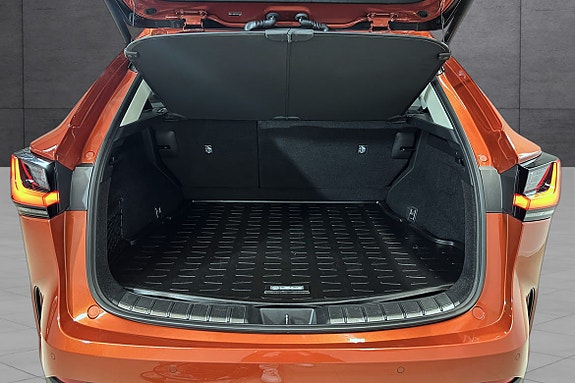 Lexus NX450h 11 of 22