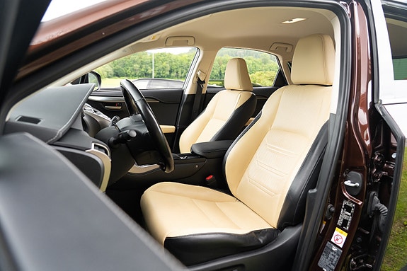 Lexus NX300h 15 of 25