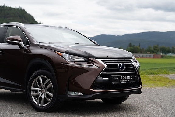 Lexus NX300h 2 of 5