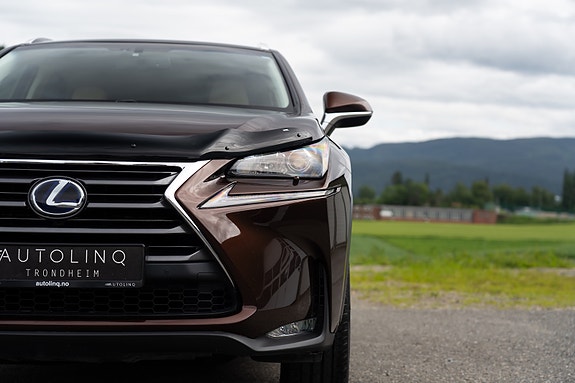 Lexus NX300h 9 of 25