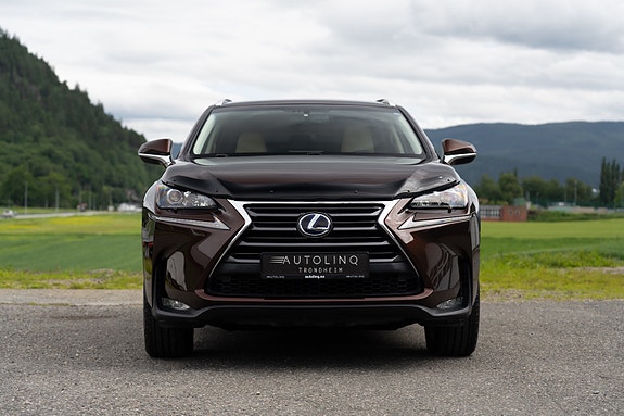 Lexus NX300h 8 of 25