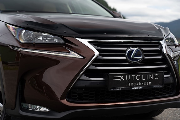 Lexus NX300h 11 of 25