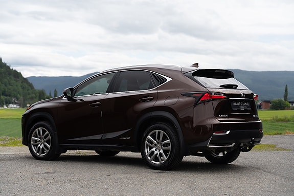 Lexus NX300h 5 of 5