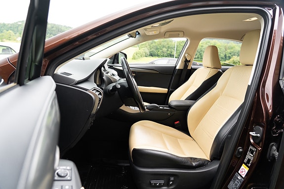 Lexus NX300h 14 of 25