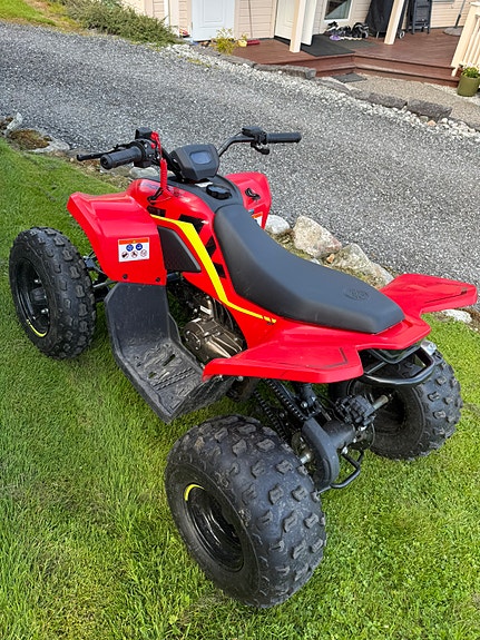 CFMOTO Cforce110 3 of 5