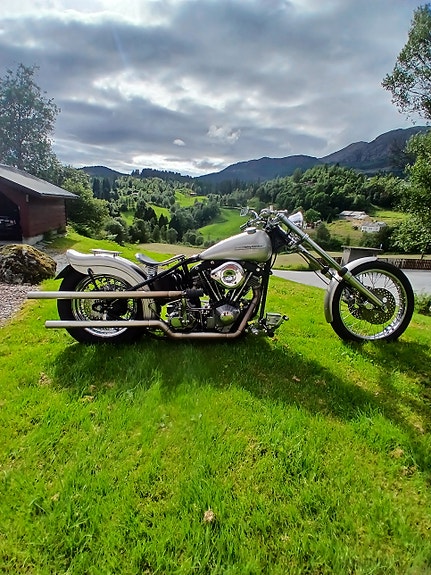 Harley-Davidson 2 of 5