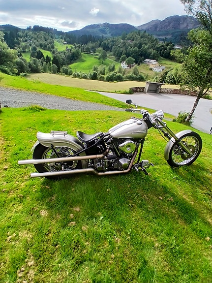 Harley-Davidson 17 of 17