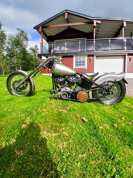 Harley-Davidson 3 of 5