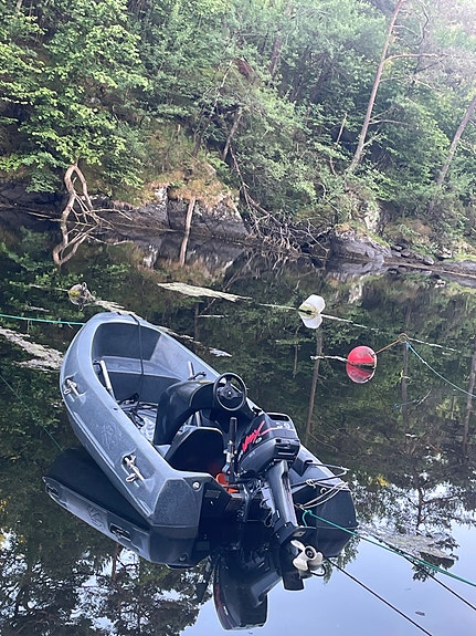 River 290 XR  + yamaha 9.9/15 Hk V-Max 2 of 5