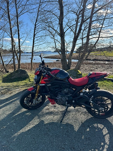 Ducati Monster 950 5 of 7
