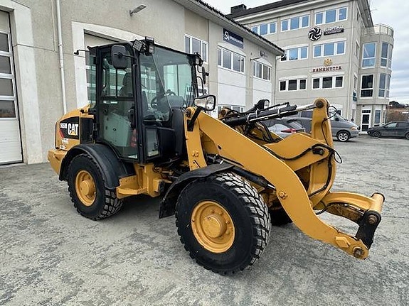 Cat 906 M 5 of 5