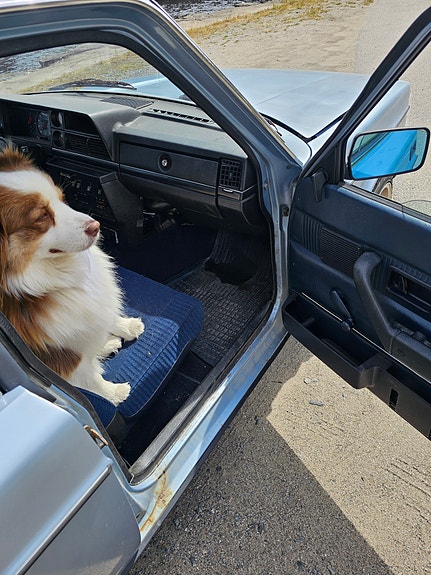 Volvo 240 15 of 25